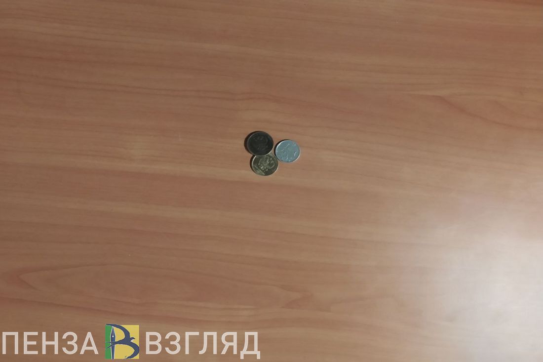 Депутатов удивило выделение одной копейки на горячее питание пензенских детей