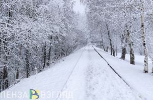 Стало известно, где в Пензе можно покататься на лыжах (6+)