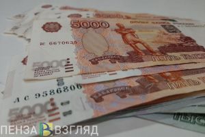 Отдельным категориям пензенцев облегчат получение социальных выплат