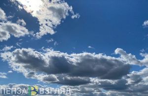 В Пензенской области выявили нарушения законодательства об ответственности владельца воздушного судна