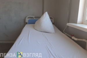 Пензенцы узнали о перспективах распространения в России амебы, «поедающей мозг»