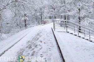 Жителям Пензенской области врачи порекомендовали больше гулять
