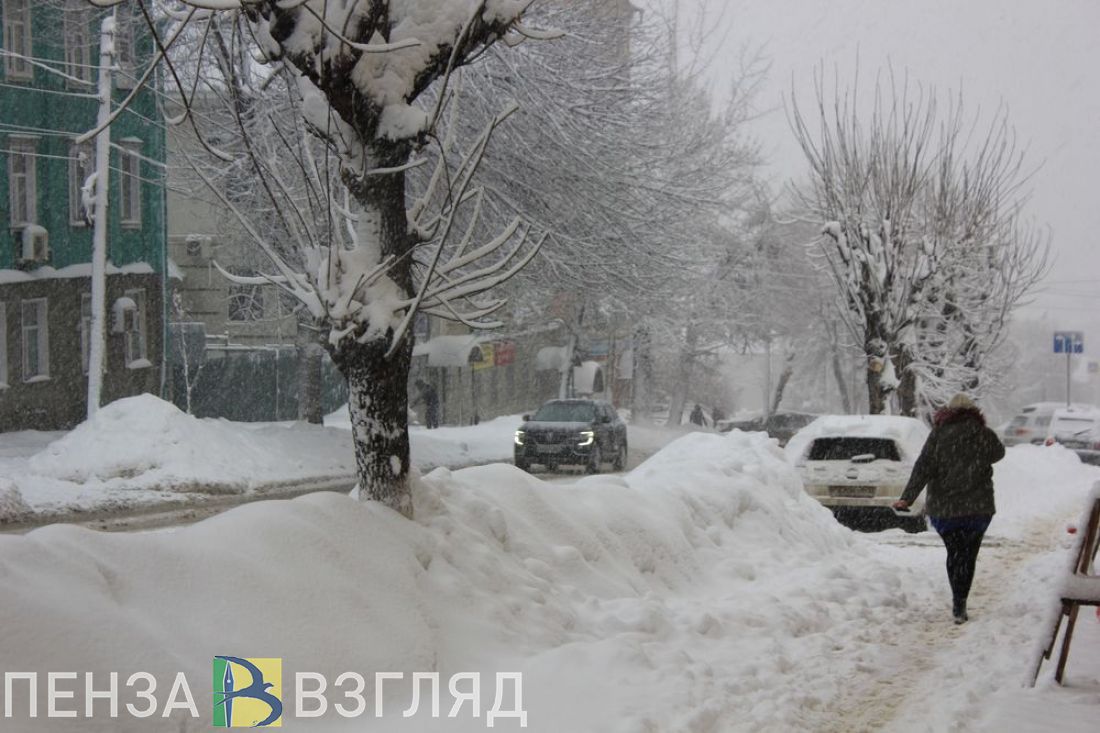 Пензенец раскритиковал работу коммунальных служб в условиях снегопада