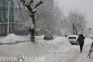 Пензенец раскритиковал работу коммунальных служб в условиях снегопада