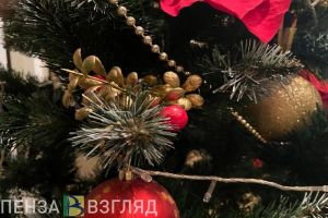 Пензячку обманули при покупке искусственной ели