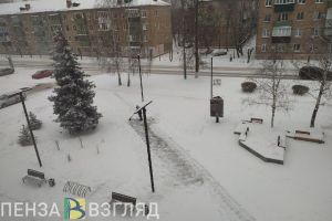 В четверг в Пензенской области выпадет небольшой снег