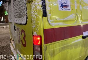 В Пензенской области первоклассник врезался в дерево при катании на тюбинге