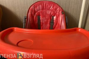 Пензенцам рассказали, чем не стоит кормить детей в новогоднюю ночь