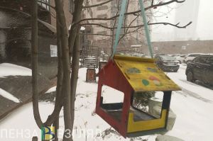 Стало известно, какая погода ожидает пензенцев на новогодних каникулах