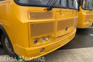 Пензенская прокуратура выявила нарушения на дорогах, ведущих к школам