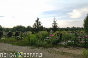 Двое жителей Каменки украли с кладбища четыре металлических ограды
