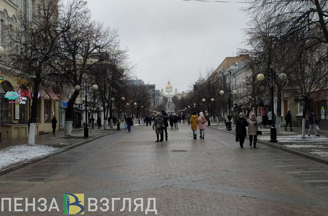 В последний день 2022 года пензенцам прогнозируют снег и дождь