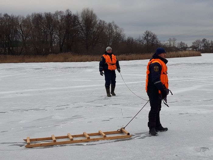 Чери сура моторс пенза