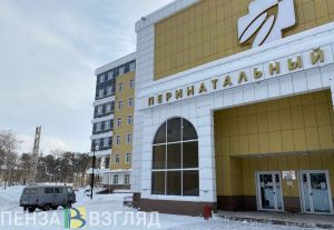 В 2023 году первой в Пензенской области родилась девочка