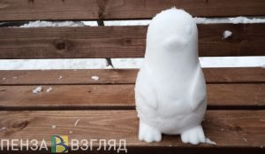 Участниками лыжного агитпохода в Пензенской области стали почти 500 школьников