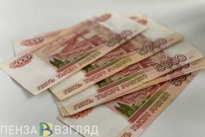 Стало известно о мерах поддержки пензенцев-участников СВО в 2023 году