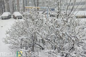 Стало известно, кто из школьников в Заречном завтра не пойдет учиться