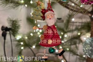 УМВД РФ по Пензенской области: в новогодних мероприятиях приняли участие 18 тысяч человек