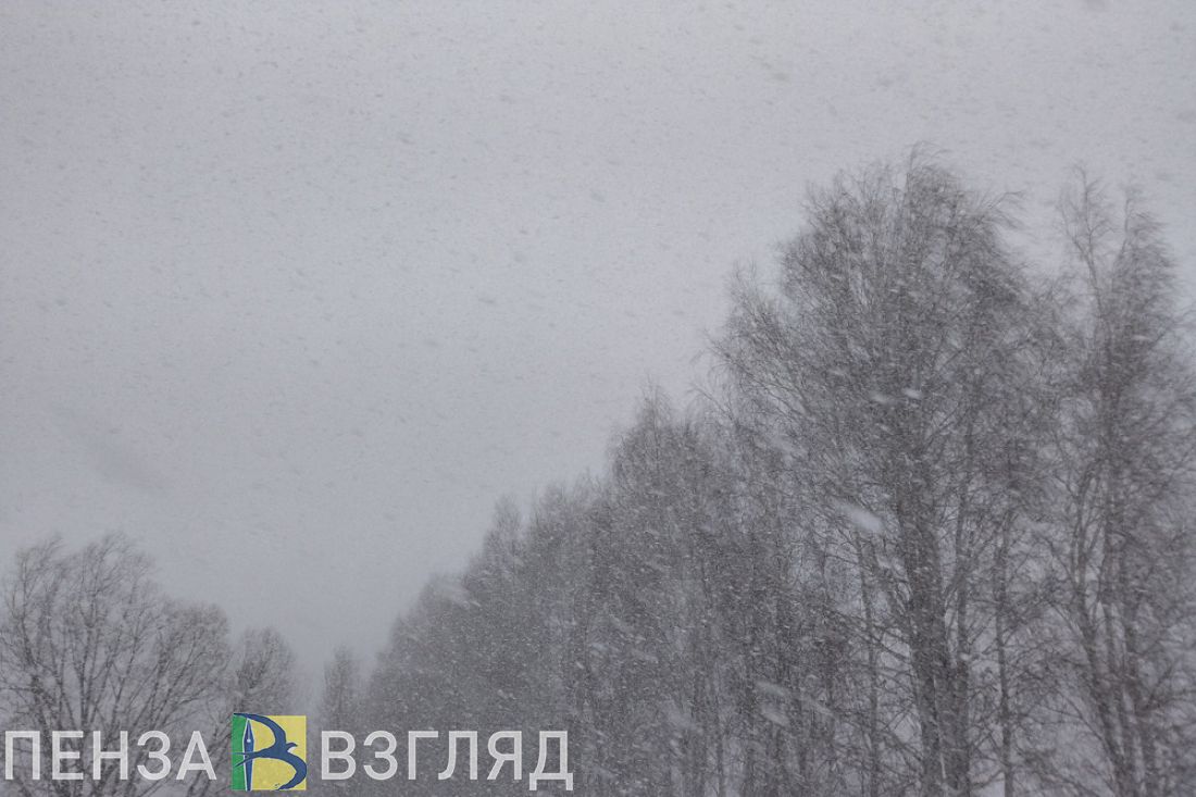 Синоптики рассказали, что суровый циклон не даст пензенцам расслабиться в ближайшее время