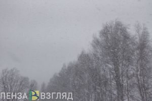 Синоптики рассказали, что суровый циклон не даст пензенцам расслабиться в ближайшее время