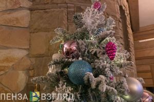 В Пензе рассмотрят возможность установки елки на Соборной площади