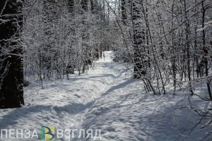 Пензастат рассказал, сколько в регионе особо охраняемых природных объектов