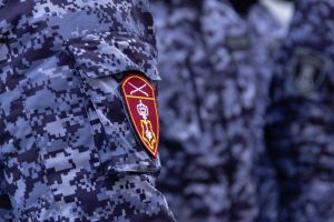 В пензенском кафе справиться с дебоширом смогли только росгвардейцы