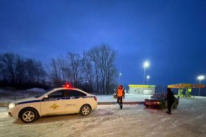 Сотрудники Госавтоинспекции Белинского района помогли водителю с семьей