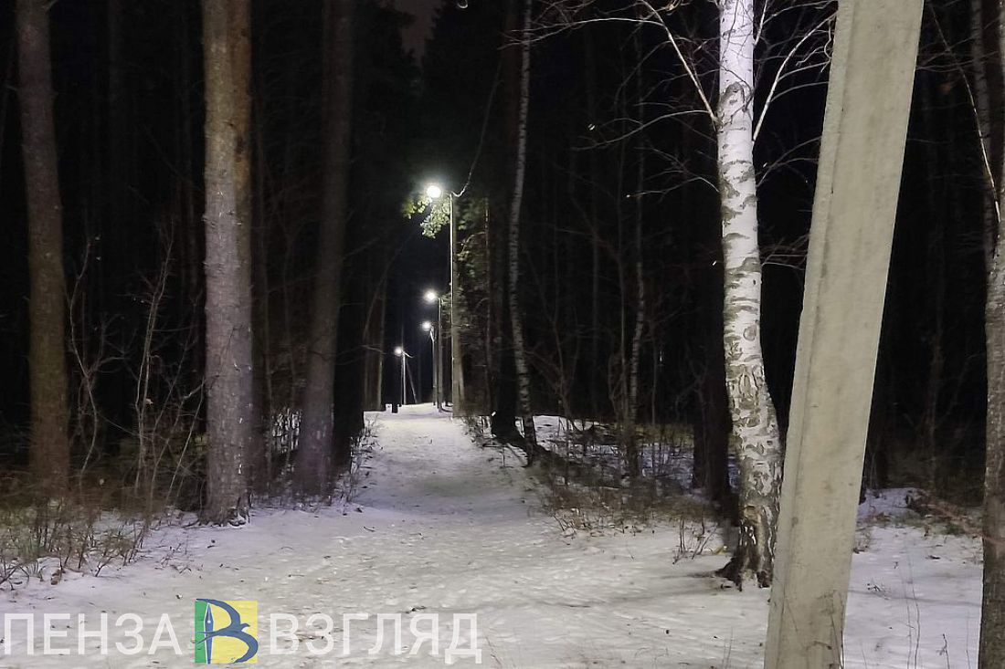 В Заречном сняли на видео вышедшего из леса в город хищника