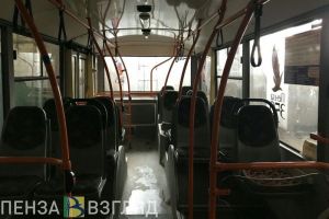 Стало известно, почему в Пензе пока не появились новые троллейбусы