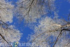 В субботу в Пензенской области ожидается потепление