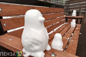 «Погода изменится». Синоптики сделали прогноз для пензенцев на рабочую неделю