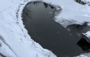 Пензенский врач рассказала об опасности купания в проруби на Крещение