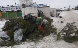 В Каменке незаконную свалку выявили, но виновных не нашли