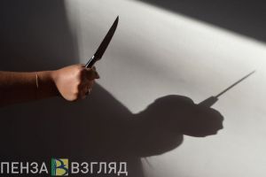 В Пензе пенсионерка в ходе пьянки пырнула ножом знакомую