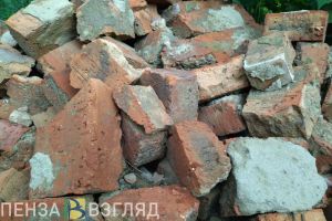 Броском кирпича в голову ответил на подзатыльник мужчина в Пензенской области