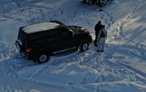 В Пензенской области браконьеры убили лося