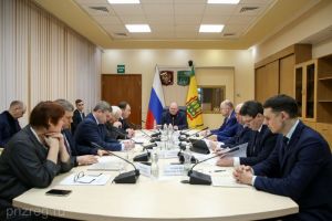 Мельниченко раскритиковал помещения МФЦ в Пензенском районе