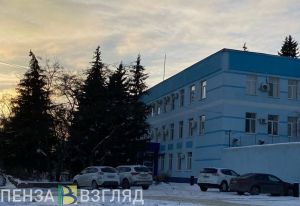 СК проводит проверку по факту смерти мужчины при пожаре на ул. Новоселов в Пензе