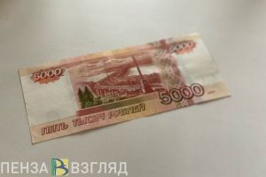 В Кузнецке за преступление задержали жительницу Самарской области