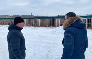В Пензе проверили работу пункта временного содержания животных
