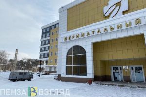 Более 8 миллионов рублей направлено в Пензенской области на поддержку родителей двойняшек и тройняшек