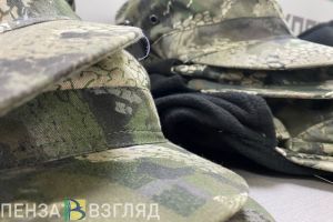 Пензенским семьям объяснили, смогут ли они получать единое пособие при доходах мобилизованных