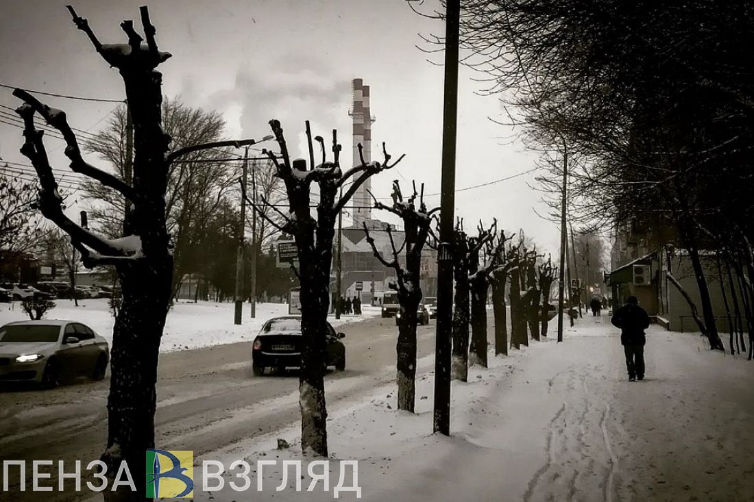 Басенко поручил изучить опасность, исходящую от разросшихся деревьев