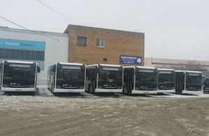 Еще 14 новых автобусов, приобретенных Дилижансом, прибыли в Пензу