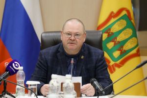 Мельниченко объявил о взысканиях за отмену дежурств ночных врачей в больницах Пензенской области