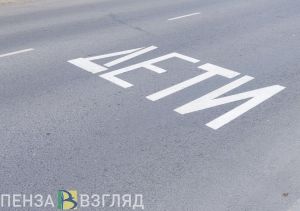 В Пензенской области почти на 60% выросло число погибших в ДТП детей