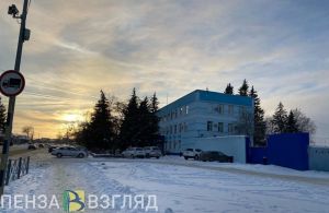СК проводит проверку по факту смерти пензенца при пожаре во 2-м проезде Кошевого