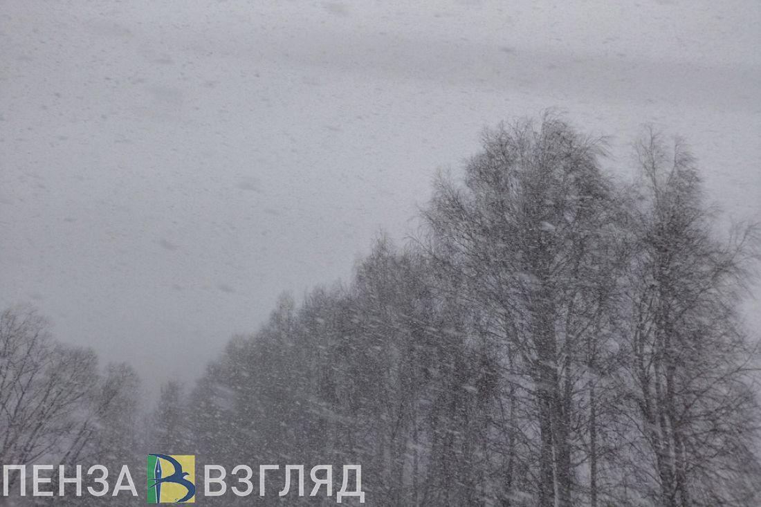3 февраля в Пензенской области ожидается мокрый снег