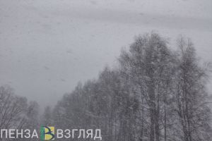 3 февраля в Пензенской области ожидается мокрый снег